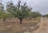 Земля, подлежащая урбанизации на продажу у города Montealegre del Castillo Фото