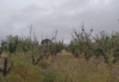 Земля, подлежащая урбанизации на продажу у города Montealegre del Castillo Фото