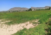 Земля, подлежащая урбанизации на продажу у города Montealegre del Castillo Фото