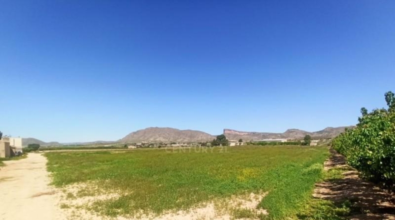 Murcia - Jumilla - 8944m2