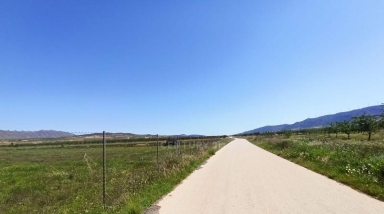 Murcia - Jumilla - 8944m2