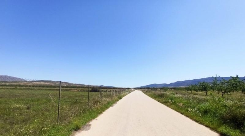 Murcia - Jumilla - 8944m2