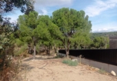 Non-developable land for sale on España, San Martín de Valdeiglesias, ref: TR330497 photo