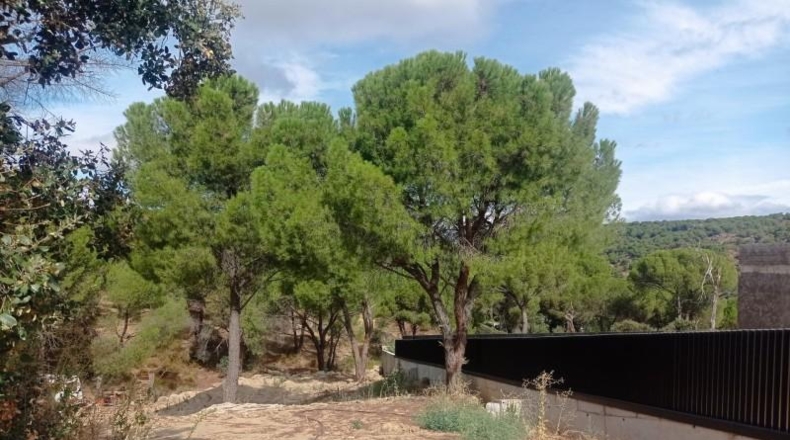 Comunidad de Madrid - San Martín de Valdeiglesias - 1437m2