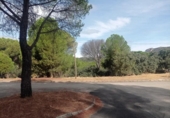 Non-developable land for sale on España, San Martín de Valdeiglesias, ref: TR330497 photo