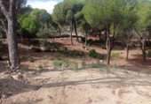 Non-developable land for sale on España, San Martín de Valdeiglesias, ref: TR330497 photo