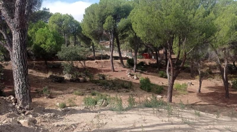 Comunidad de Madrid - San Martín de Valdeiglesias - 1437m2