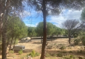 Non-developable land for sale on España, San Martín de Valdeiglesias, ref: TR330497 photo