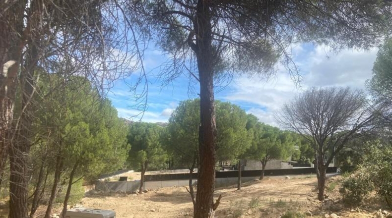 Comunidad de Madrid - San Martín de Valdeiglesias - 1437m2