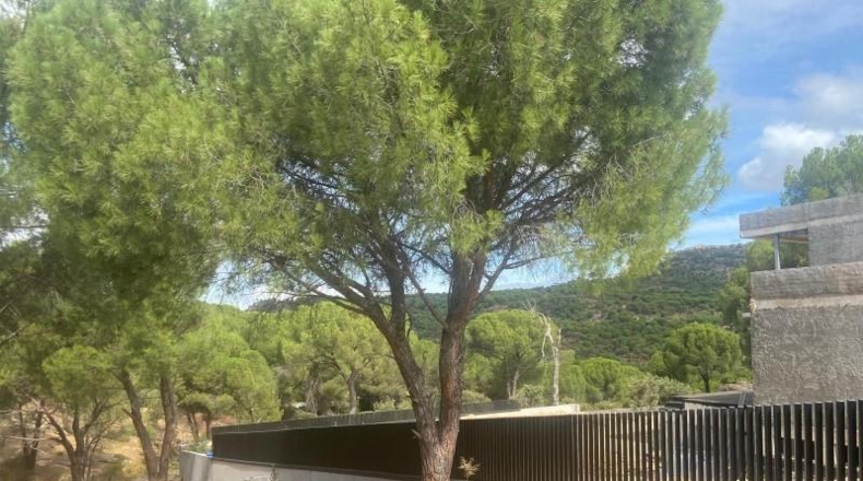 Comunidad de Madrid - San Martín de Valdeiglesias - 1437m2