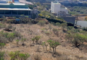 Terreny no urbanitzable en venda a la España, Granadilla de Abona, ref.: TR116856 foto