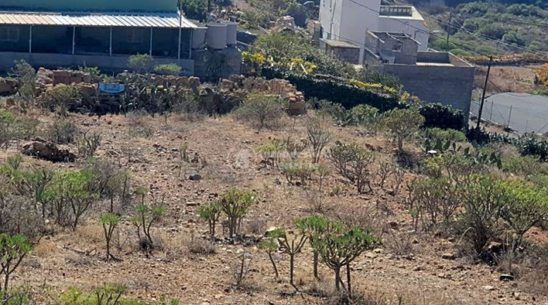 Santa Cruz de Tenerife - Granadilla de Abona - 11467m2