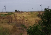 Sòl urbà en venda a la España, la Pobla Llarga, ref.: TR320737 foto