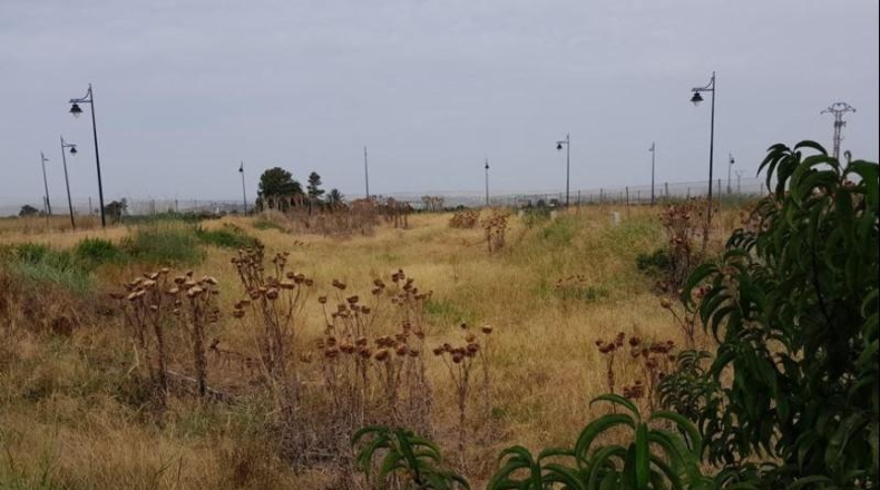 Valencia - la Pobla Llarga - 1428m2