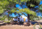 Casa de camp amb terreny en venda a la España, l'Ametlla de Mar, ref.: TR140977 foto