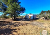 Casa de camp amb terreny en venda a la España, l'Ametlla de Mar, ref.: TR140977 foto