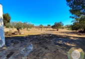Casa de camp amb terreny en venda a la España, l'Ametlla de Mar, ref.: TR140977 foto