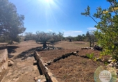 Casa de camp amb terreny en venda a la España, l'Ametlla de Mar, ref.: TR140977 foto