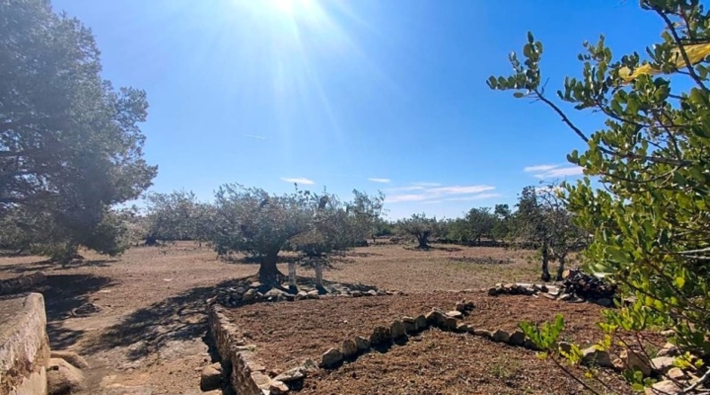 Tarragona - l'Ametlla de Mar - 7400m2