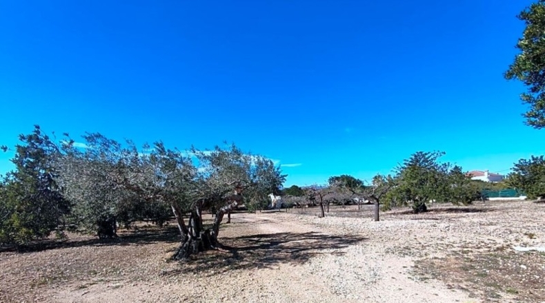 Tarragona - l'Ametlla de Mar - 7400m2