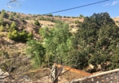Casa de camp amb terreny en venda a la España, Asp, ref.: TR141693 foto