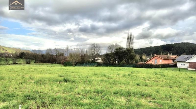 Cantabria - Parbayón - 1184m2