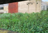 Sòl urbà en venda a la España, Gijón, ref.: TR174329 foto