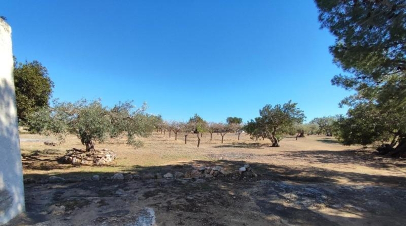 Tarragona - l'Ametlla de Mar - 7418m2
