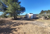 Chalet independiente con terreno en venta en la España, l'Ametlla de Mar, ref: TR153719 foto