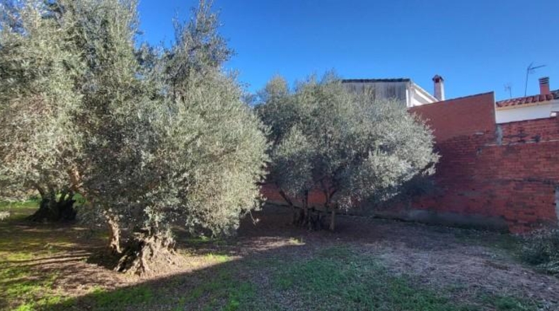 Cáceres - Malpartida de Plasencia - 554m2