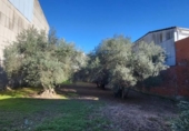 Участок с постройкой на продажу в городе Malpartida de Plasencia Фото