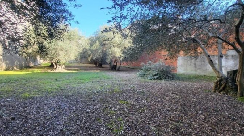 Cáceres - Malpartida de Plasencia - 554m2