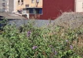 Sòl urbà en venda a la España, Gijón, ref.: TR309936 foto