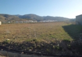 Detached villa with land for sale on España, Laujar de Andarax, ref: TR216574 photo