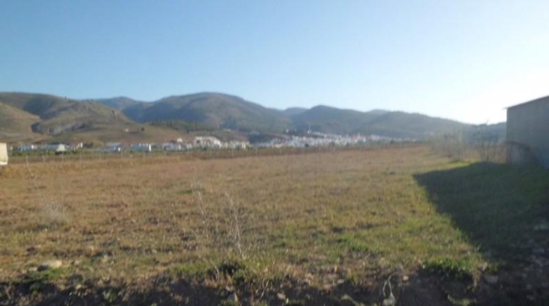 Almeria - Láujar de Andarax - 10000m2
