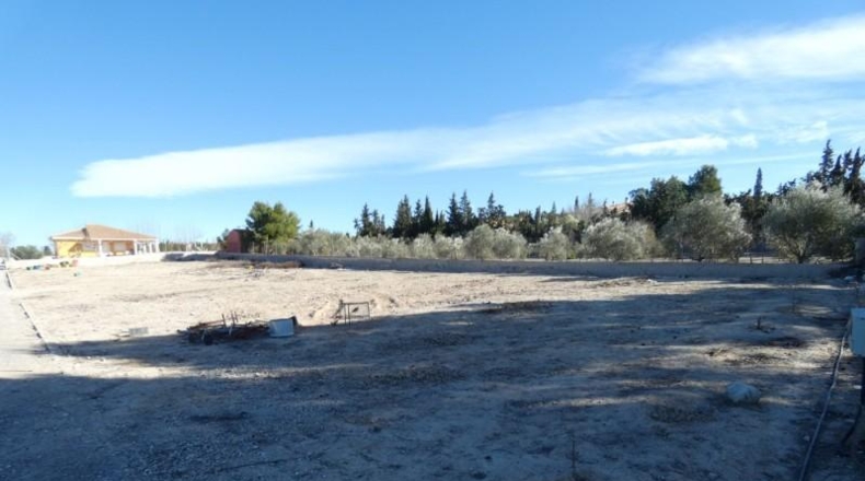 Múrcia - Molina de Segura - 2000m2
