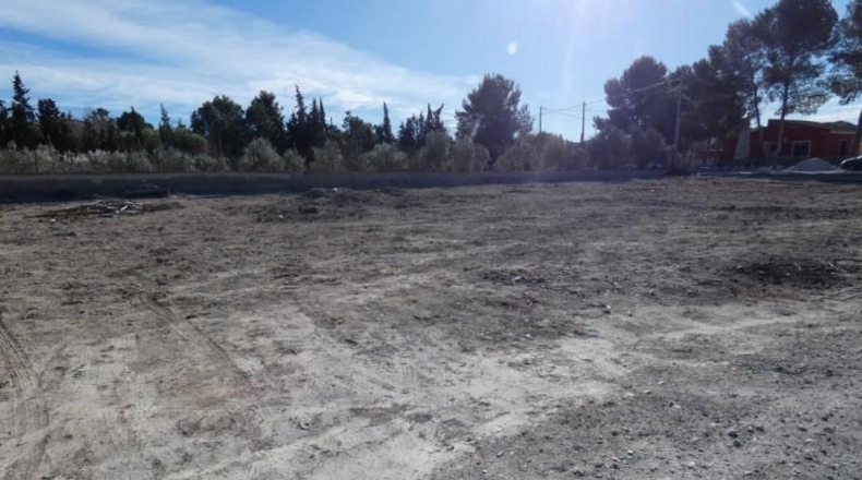 Múrcia - Molina de Segura - 2000m2