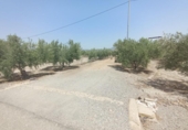 Casa de campo con terreno en venta en la España, Puerto Lumbreras, ref: TR165365 foto