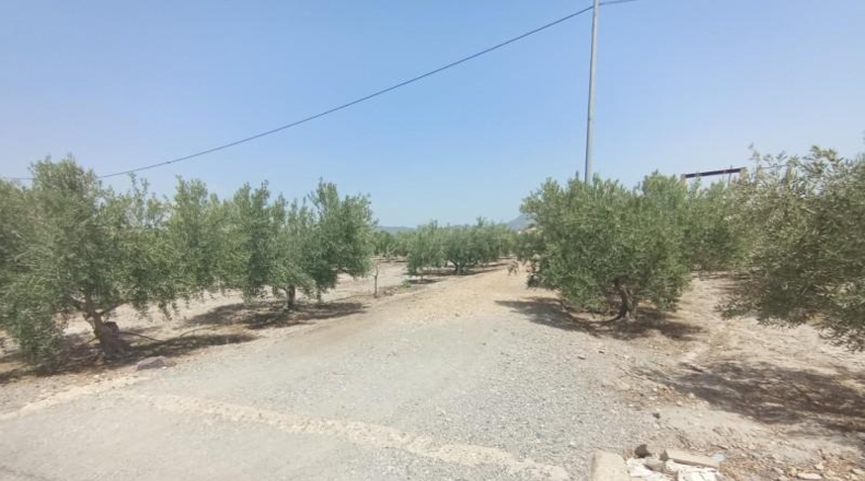 Murcia - Puerto Lumbreras - 15700m2