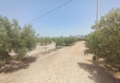 Casa de campo con terreno en venta en la España, Puerto Lumbreras, ref: TR165365 foto