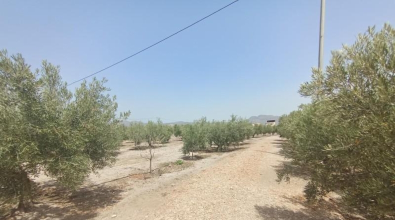 Murcia - Puerto Lumbreras - 15700m2
