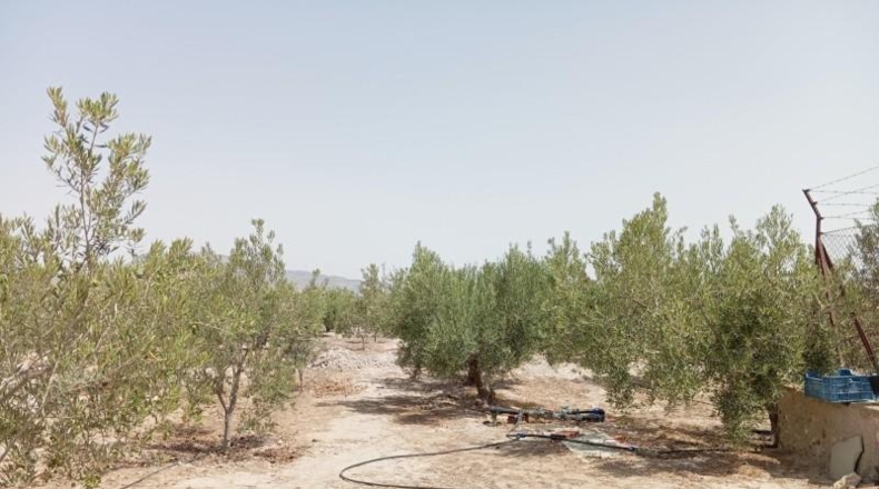 Murcia - Puerto Lumbreras - 15700m2