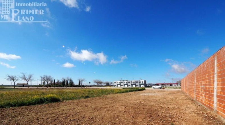 Ciudad Real - Tomelloso - 386m2