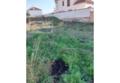 Non-developable land for sale on España, Cartaya, ref: TR194142 photo
