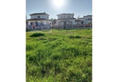 Non-developable land for sale on España, Cartaya, ref: TR194142 photo