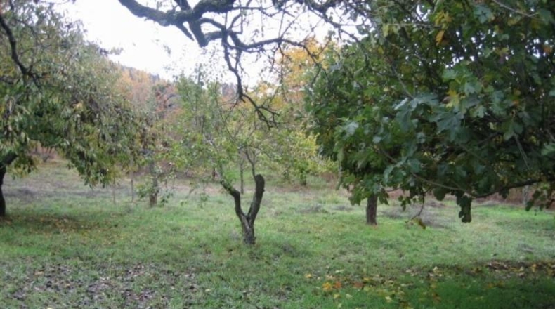 Leon - Arganza - 8000m2
