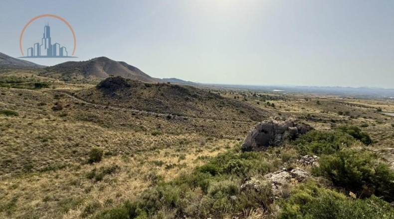 Murcia - Fuente Álamo de Murcia - 61959m2
