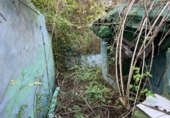 Chalet independiente con terreno en venta en la España, Los Realejos, ref: TR366447 foto