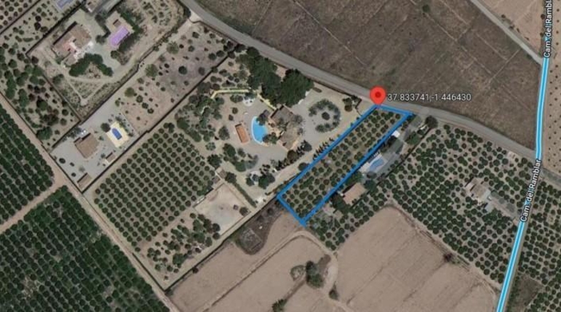 Murcia - Alhama de Murcia - 360m2