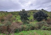 Terreno no urbanizable en venta en la España, El Molar, ref: TR358197 foto